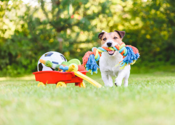 Juguetes para perros